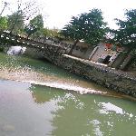 ֳ